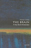bokomslag The Brain: A Very Short Introduction