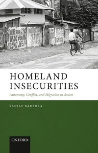 bokomslag Homeland Insecurities