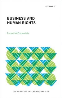 bokomslag Business and Human Rights