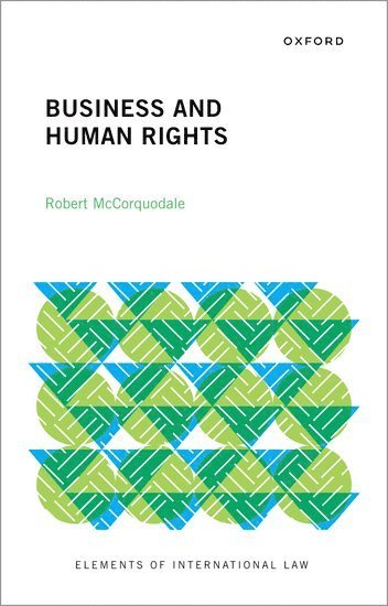 bokomslag Business and Human Rights