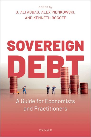 S. Ali Abbas, Alex Pienkowski, Kenneth Rogoff - Sovereign Debt, Häftad