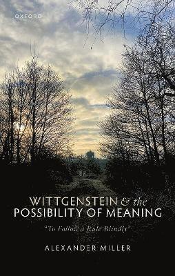 bokomslag Wittgenstein and the Possibility of Meaning