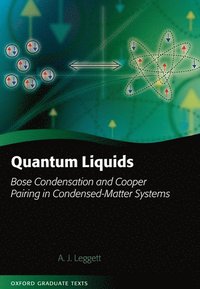 bokomslag Quantum Liquids