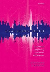 bokomslag Crackling Noise