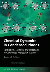 bokomslag Chemical Dynamics in Condensed Phases