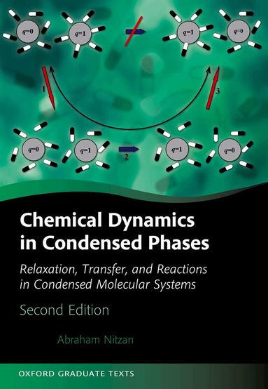 Abraham Nitzan - Chemical Dynamics in Condensed Phases, Inbunden