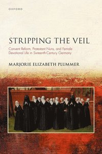 bokomslag Stripping the Veil