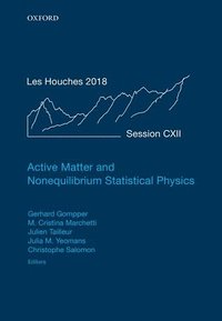 bokomslag Active Matter and Nonequilibrium Statistical Physics