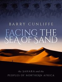 bokomslag Facing the Sea of Sand