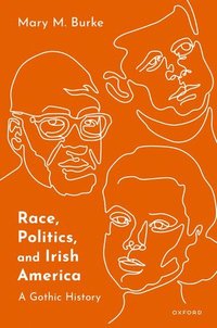bokomslag Race, Politics, and Irish America