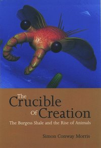 bokomslag The Crucible of Creation