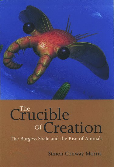 The Crucible of Creation 1
