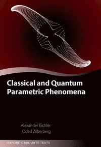 bokomslag Classical and Quantum Parametric Phenomena