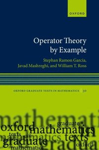 bokomslag Operator Theory by Example