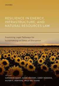 bokomslag Resilience in Energy, Infrastructure, and Natural Resources Law