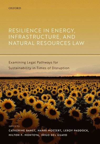 bokomslag Resilience in Energy, Infrastructure, and Natural Resources Law