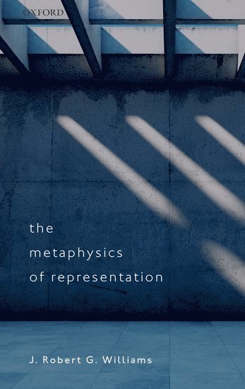 bokomslag The Metaphysics of Representation