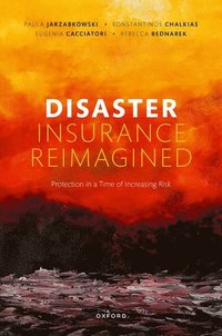 bokomslag Disaster Insurance Reimagined