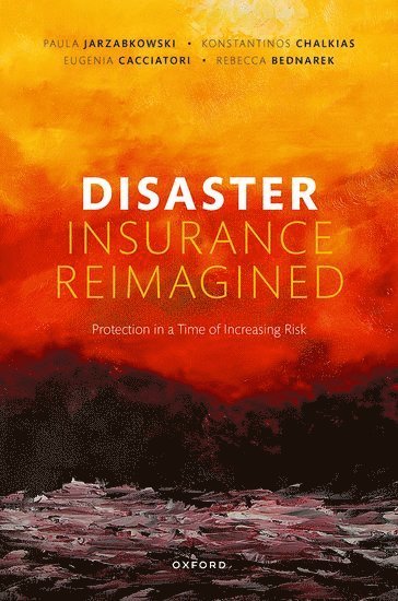 Disaster Insurance Reimagined 1