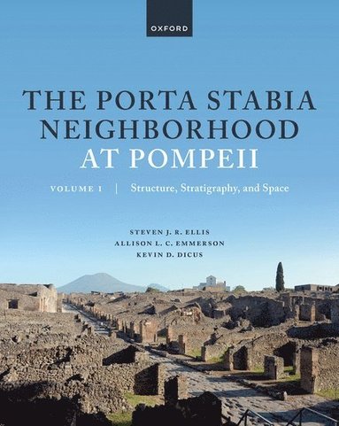 bokomslag The Porta Stabia Neighborhood at Pompeii Volume I