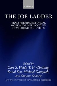 bokomslag The Job Ladder