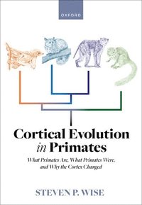 bokomslag Cortical Evolution in Primates