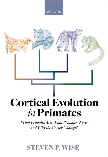 Steven P. Wise - Cortical Evolution in Primates, Inbunden