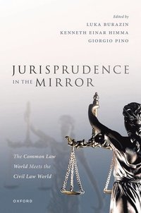 bokomslag Jurisprudence in the Mirror