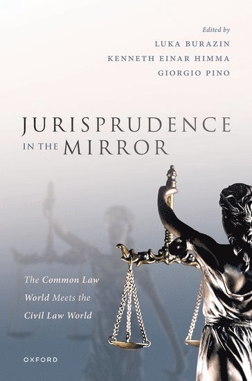 Jurisprudence in the Mirror 1