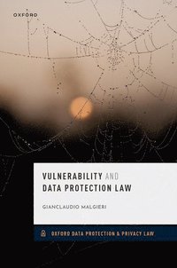 bokomslag Vulnerability and Data Protection Law