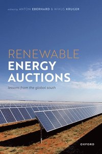 bokomslag Renewable Energy Auctions