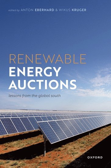 bokomslag Renewable Energy Auctions