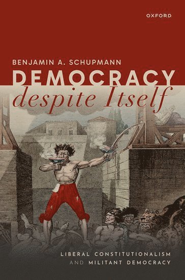 bokomslag Democracy despite Itself
