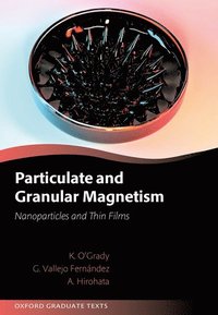 bokomslag Particulate and Granular Magnetism