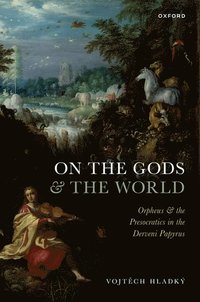 bokomslag On the Gods and the World