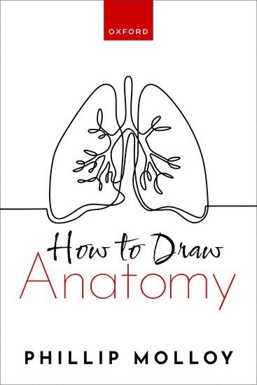bokomslag How To Draw Anatomy