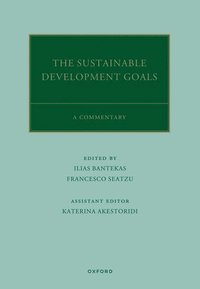 bokomslag The UN Sustainable Development Goals