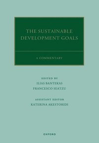 bokomslag The UN Sustainable Development Goals
