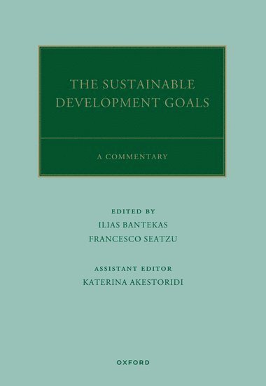 The UN Sustainable Development Goals 1