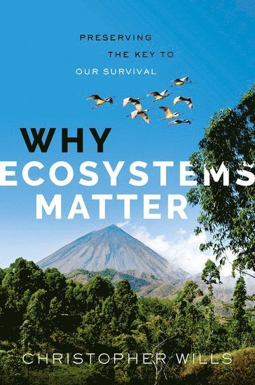 Why Ecosystems Matter