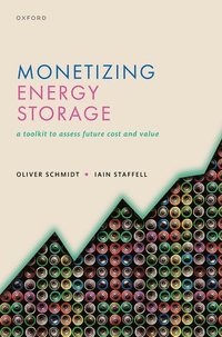 bokomslag Monetizing Energy Storage