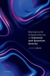 bokomslag Background Independence in Classical and Quantum Gravity
