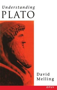 bokomslag Understanding Plato