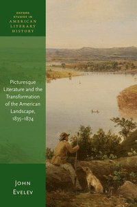 bokomslag Picturesque Literature and the Transformation of the American Landscape, 1835-1874