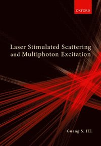 bokomslag Laser Stimulated Scattering and Multiphoton Excitation