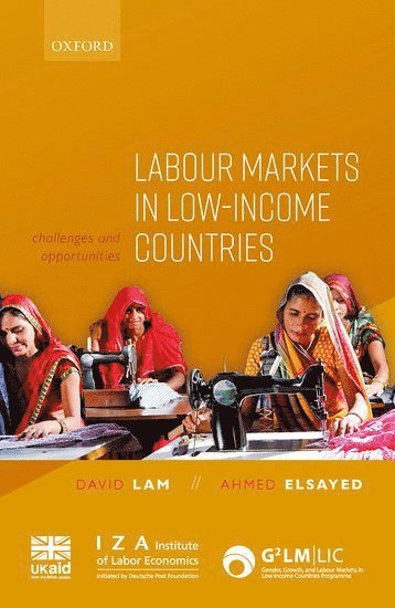 bokomslag Labour Markets in Low-Income Countries