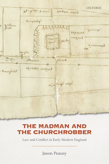 bokomslag Madman and the Churchrobber