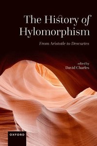 bokomslag The History of Hylomorphism