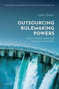 bokomslag Outsourcing Rulemaking Powers