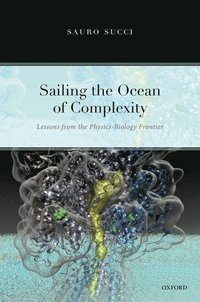 bokomslag Sailing the Ocean of Complexity